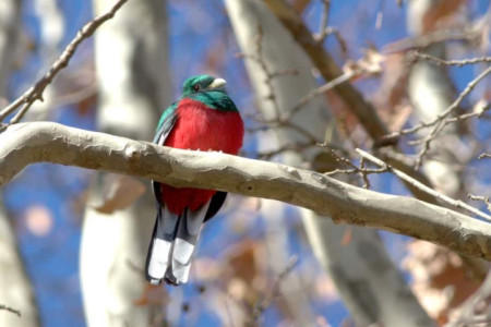 August 2024 - News & Views