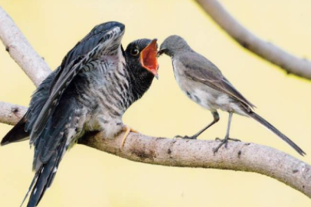 April 2024 - News & Views