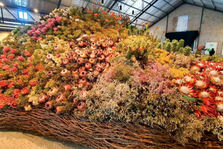 October 2025 - News & Views