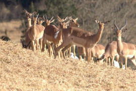 July 2025 - News & Views