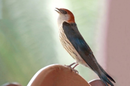 April 2023 - News & Views April 2023 - News & Views