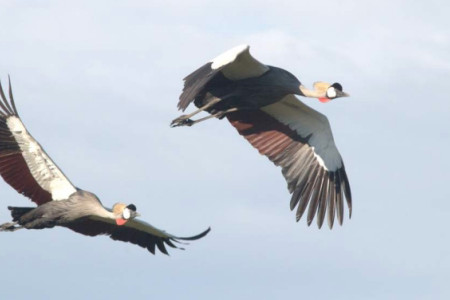 February 2024 - News & Views