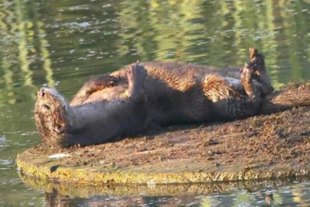 June 2024 - News & Views