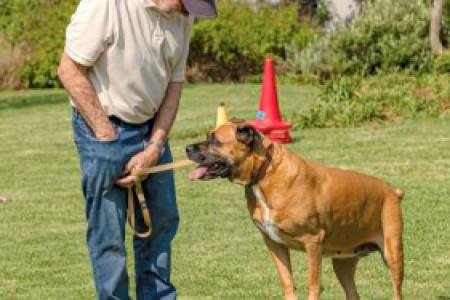 May 2024 - News & Views