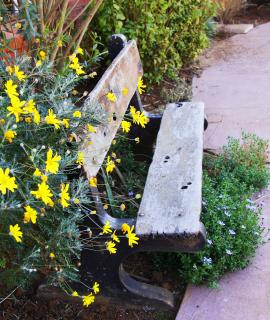 Alt_garden_bench